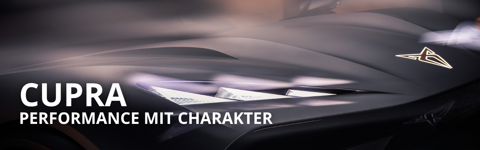 CUPRA Ramon Hatscher Headerbild